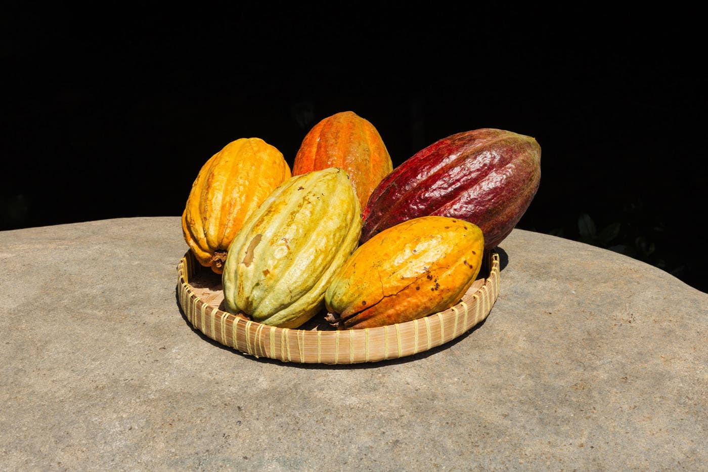 Cacao